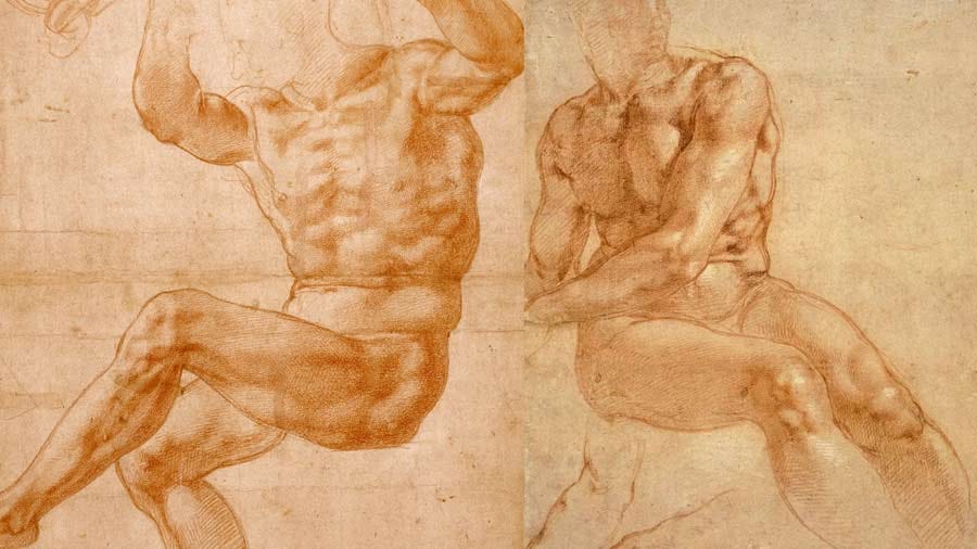 Anatomical drawings of the human torso and limbs by Michelangelo.